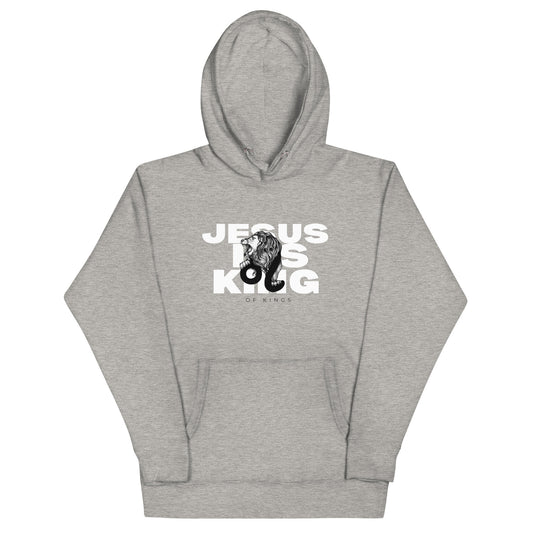 Jesus Is King of Kings Hoodie